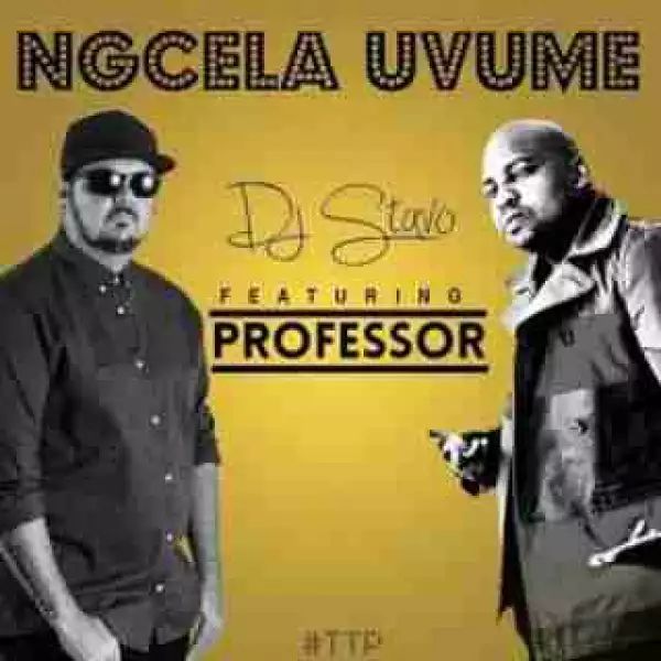 DJ Stavo - Ngcela Uvume ft. Professor